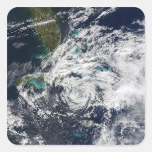 Adesivo Quadrado Furacão Paloma 2