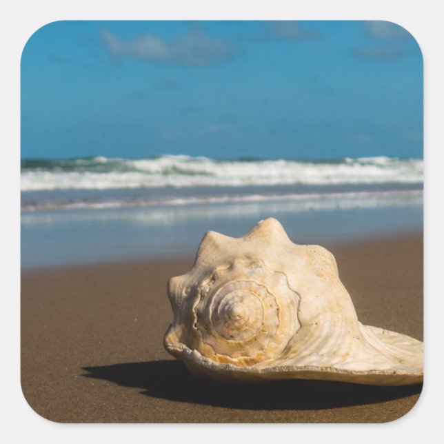 Adesivo Quadrado Future Beach (Frente)