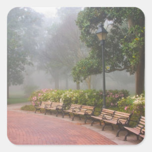 Adesivo Quadrado GA Savannah, Azaleas ao longo da calçada e