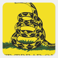 Gadsden Flag - Não me pise