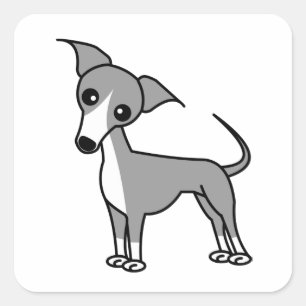 Adesivo Quadrado Galgo italiano bonito - cinza