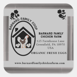 Adesivo Quadrado Galinha Galinha Galinha de Ovos Frescos Orgânicos 