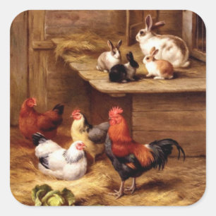 Adesivo Quadrado Galo galinhas coelhinhos coelhos fazenda de galinh
