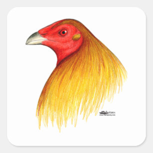 Adesivo Quadrado Gamecock dublado