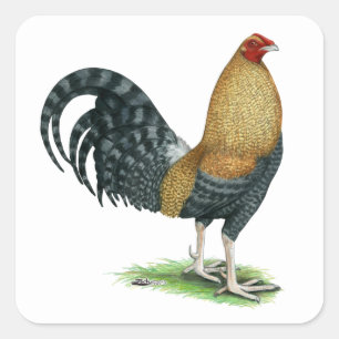 Adesivo Quadrado Gamecock: Os DOM ou Crele