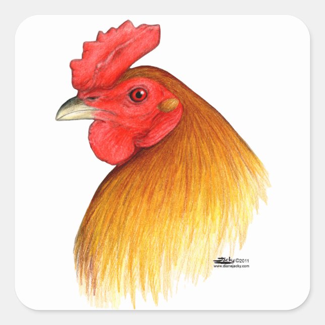 Adesivo Quadrado Gamecock Stag Pea Comb (Frente)