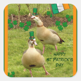 Adesivo Quadrado Gansos tocando um pouco de dança irlandesa