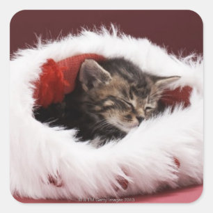 Adesivo Quadrado Gatinho adormecido no chapéu do Natal