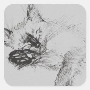 Adesivo Quadrado Gatinho 'Baby