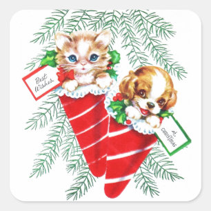 Adesivo Quadrado Gatinho bonito do filhote de cachorro do bebê do