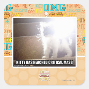 Adesivo Quadrado Gatinho da massa crítica
