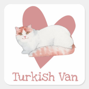 Adesivo Quadrado Gatinho de Aquarela Turco Van Cat Coração Rosa