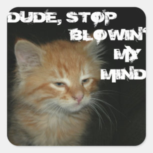 Adesivo Quadrado Gatinho do "PARADA BLOWIN GAJO MEU" grupo MÍNIMO