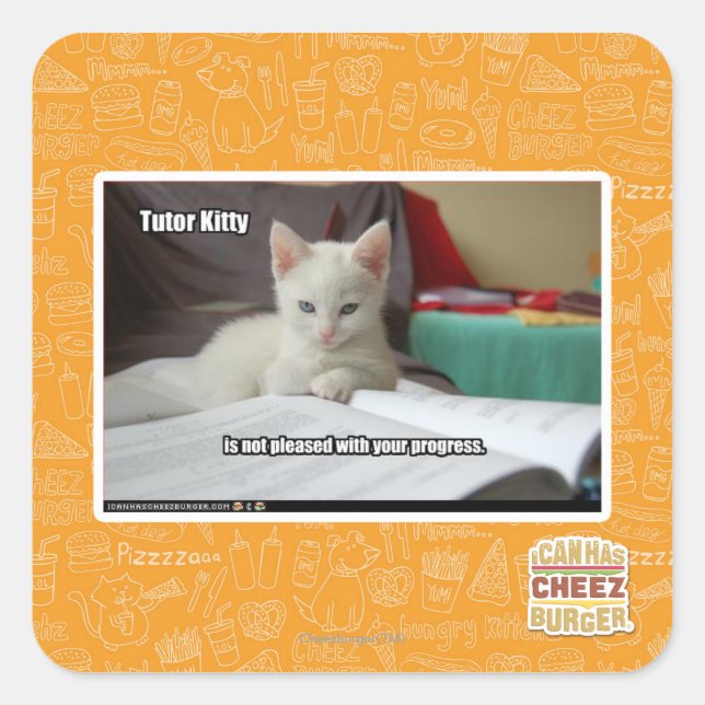 Adesivo Quadrado Gatinho do tutor (Frente)