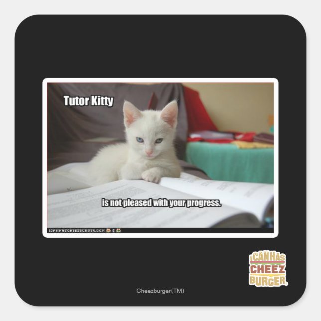 Adesivo Quadrado Gatinho do Tutor (Frente)