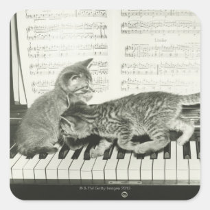 Adesivo Quadrado Gatinho dois que joga no teclado de piano, (B&W)