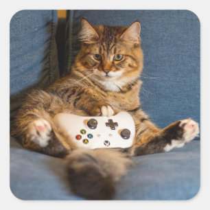 Adesivo Quadrado Gatinho Gamer de Estimação Tabby Fofo