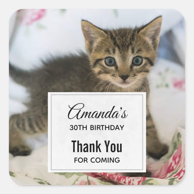 Adesivo Quadrado Gatinho Gatinho Gelado Que Parece Surpreso Anivers (Frente)