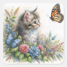 Gatinho Olhando Borboleta Laranja