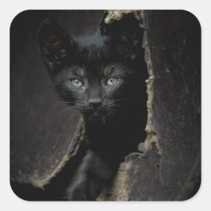 Adesivo Quadrado Gatinho preto pequeno