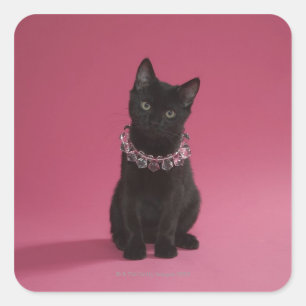 Adesivo Quadrado Gatinho preto que veste a colar jeweled