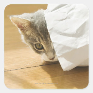 Adesivo Quadrado Gatinho que esconde no saco de papel