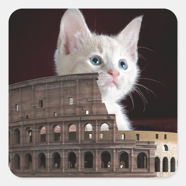 Adesivo Quadrado gatinho romano (Frente)