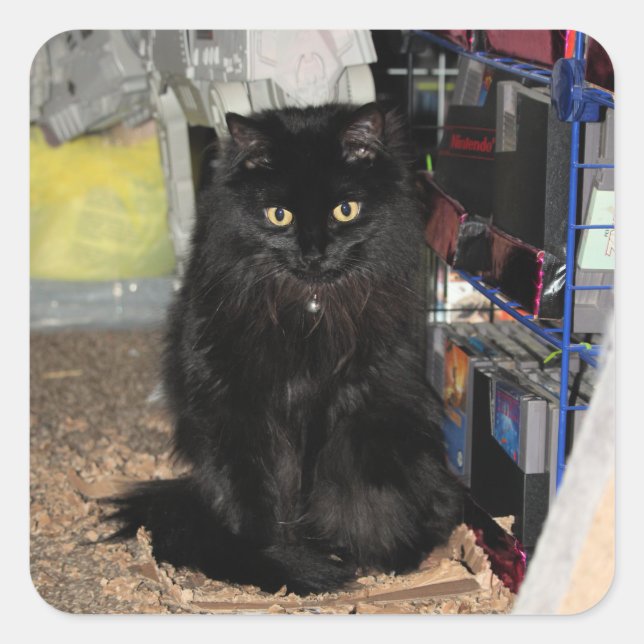 Adesivo Quadrado Gato (Frente)