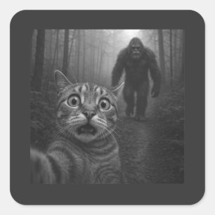 Adesivo Quadrado Gato Assustado Selfie Com Sasquatch Pé-Grande