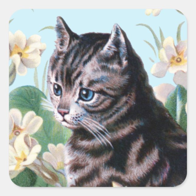 Adesivo Quadrado Gato bonito - arte de gatos vintage (Frente)