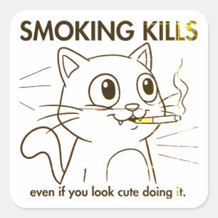 Adesivo Quadrado Gato Bonito - Matar Fumante Engraçado Anti-Smoking