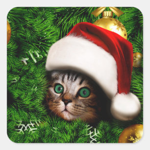 Adesivo Quadrado Gato bonito na árvore de Natal