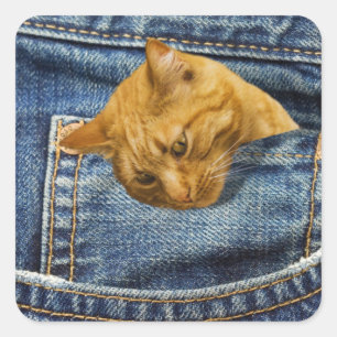 Adesivo Quadrado Gato bonito nos jeans faz uma ilusão engraçada