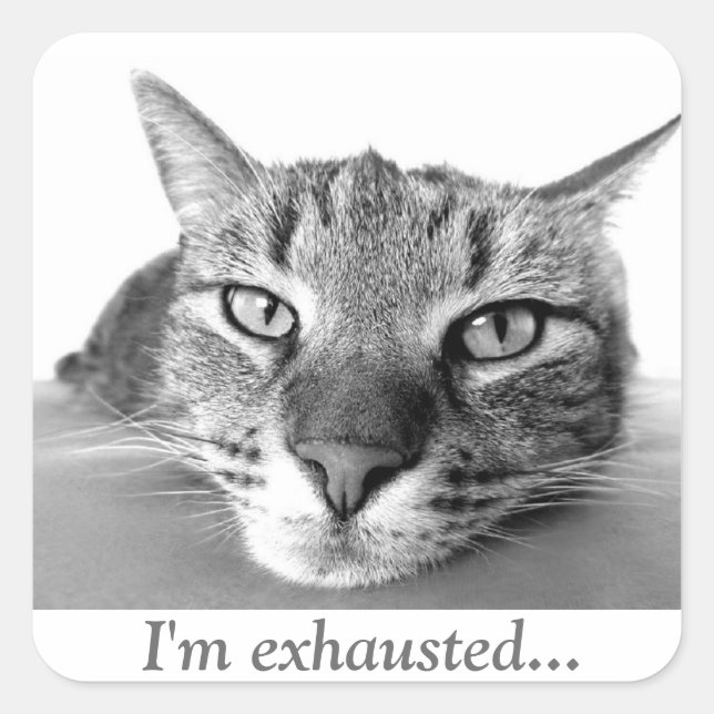 Adesivo Quadrado Gato Cansado (Frente)