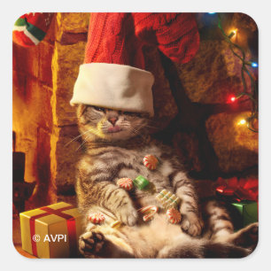 Adesivo Quadrado Gato com a Cabeça