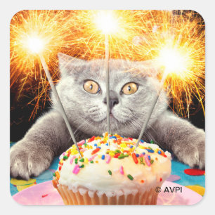 Adesivo Quadrado Gato com Cupcake