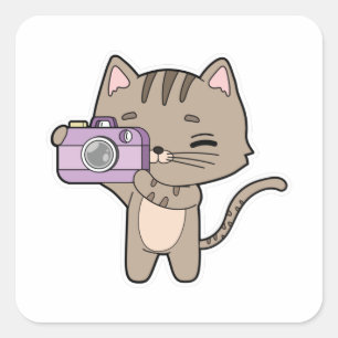Adesivo Quadrado Gato como Fotógrafo com Câmera