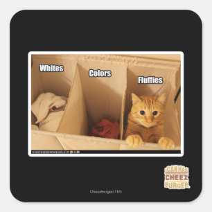 Adesivo Quadrado Gato da lavanderia