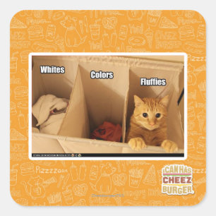 Adesivo Quadrado Gato da lavanderia