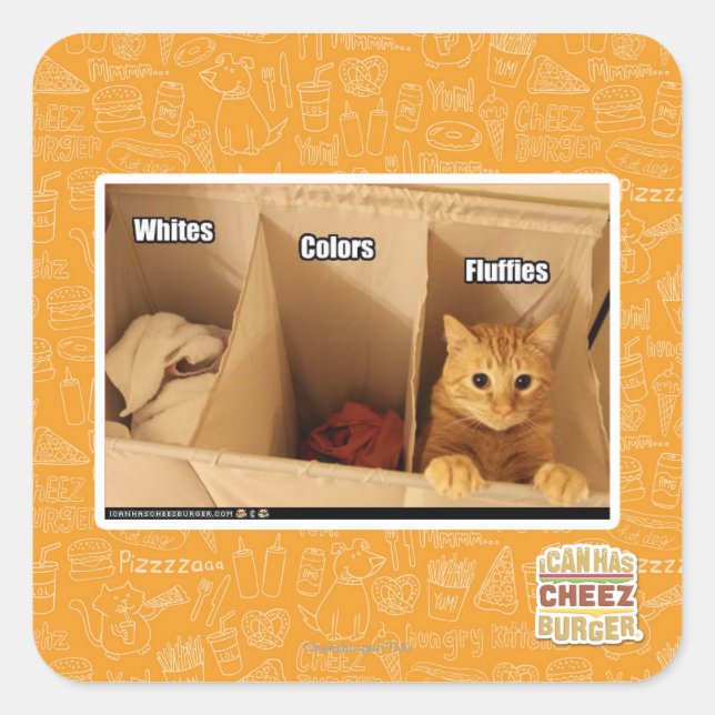 Adesivo Quadrado Gato da lavanderia (Frente)