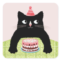 Gato de aniversário com bolo de aniversário e chap