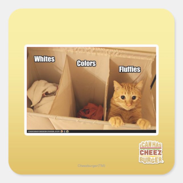 Adesivo Quadrado Gato de lavanderia (Frente)