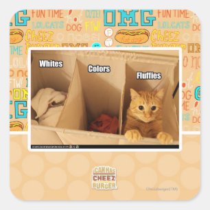 Adesivo Quadrado Gato de lavanderia