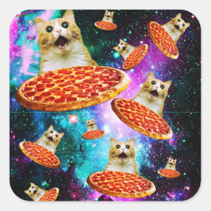 Chaveiro de memes de Gato - meme pizza grumpy cat gatos engraçados pop cat,  Smudge The Cat, gato da salada