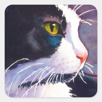 Adesivo Quadrado Gato de Tuxedo Preto no Humor das Tempestades