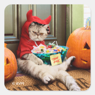 Adesivo Quadrado Gato do Diabo Cranky