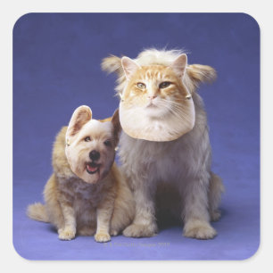 Adesivo Quadrado Gato e cão com máscaras