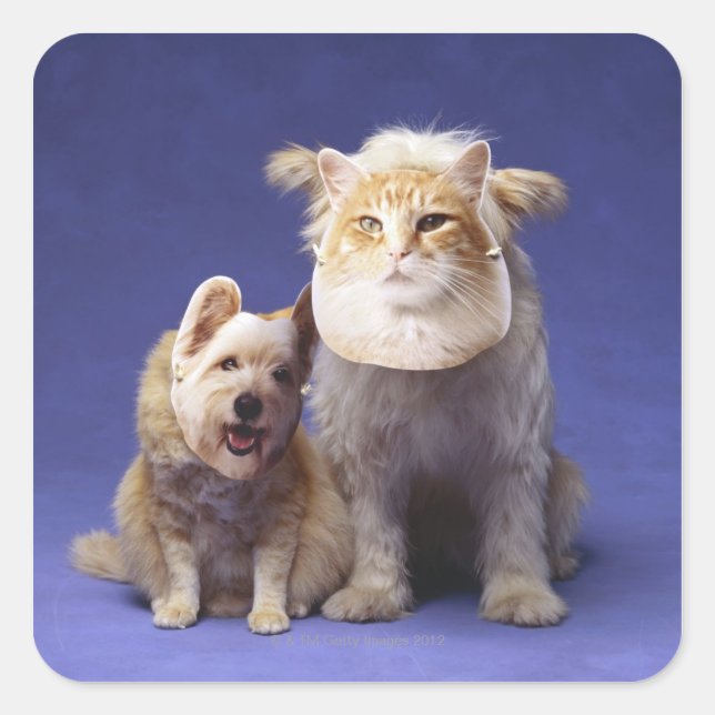 Adesivo Quadrado Gato e cão com máscaras (Frente)
