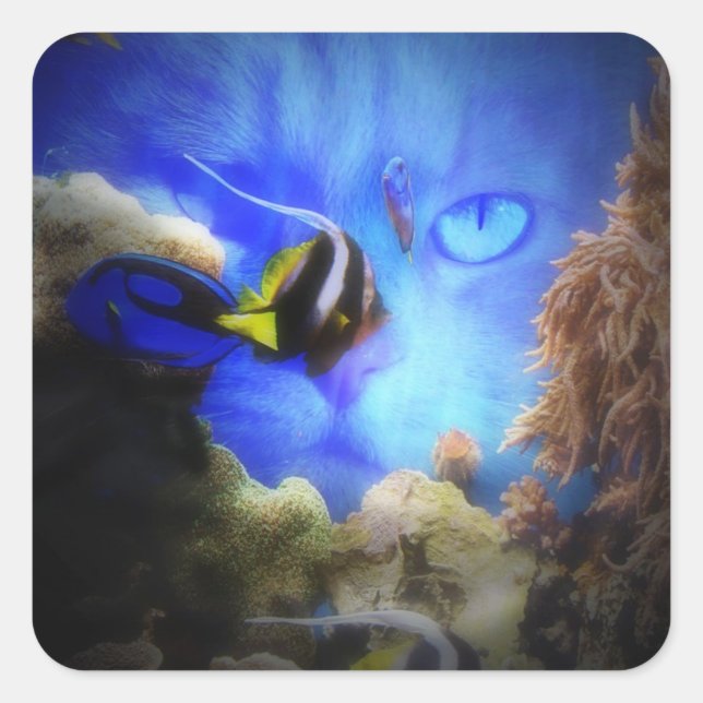 Adesivo Quadrado Gato e Peixe, Bonito e Engraçado (Frente)
