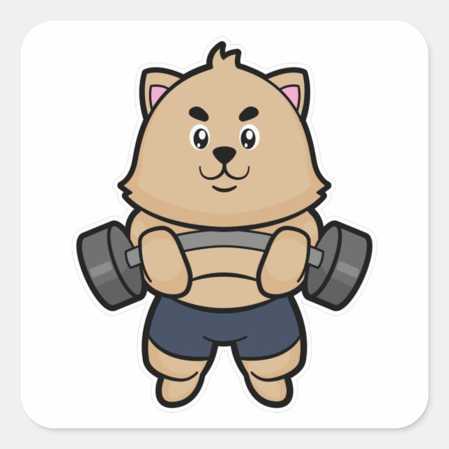 Adesivo Quadrado Gato em Bodybuilding com Barbell (Frente)